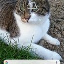 Michael Klingler - @MichaelKlingl10 - Twitter