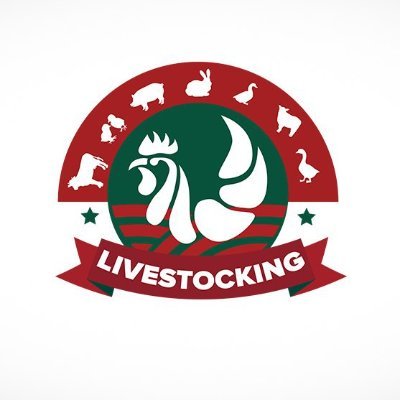 Livestocking is a website that offers free livestock production and management tips. Follow us to keep you posted on our updates.