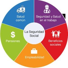 Aprender, sólo de Verdades.
España será más grande cuando todos los españoles paguen sus impuestos.
