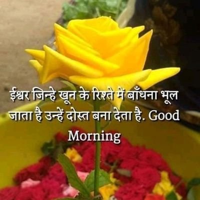 harshasadagopan's profile picture. NGO  services