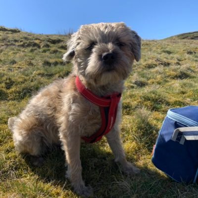 louboardy's profile picture. 