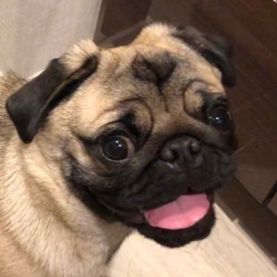 妻 3m 38w1d これが本当かどうかはわからないけど 現在ツワリで苦しんでるママさんはこれを希望としてツワリを乗り越えて欲しい 最新科学で明かされた つわり と Iq の関係 絶対に賢い子になる子育てバイブル ダイヤモンド オンライン 妻 3m 38w1d これが本当かどうかはわからないけど 現在ツワリで苦しんでるママさんはこれを希望としてツワリを乗り越えて欲しい 最新科学で明かされた つわり と Iq の関係 絶対に賢い子になる子育てバイブル ダイヤモンド オンライン