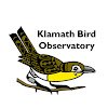 KlamathBirdObs's profile picture. Klamath Bird Observatory advances bird and habitat conservation through science, education, and partnerships.