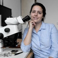 Laura Stutenbecker (@stutenbecker) 's Twitter Profile