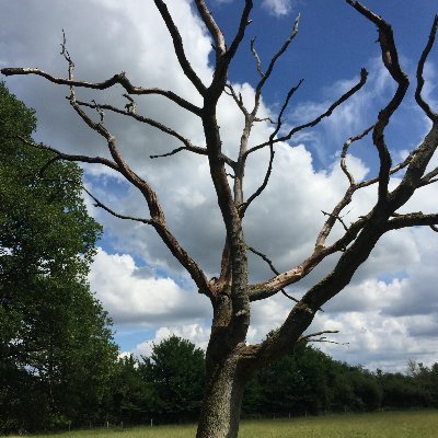 whatsnotgoingon's profile picture. 