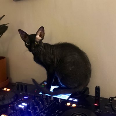 bi-monthly on @NTSlive 🎹🎤 PhD candidate - music psychology & neuroscience https://t.co/I661Lhu2fY