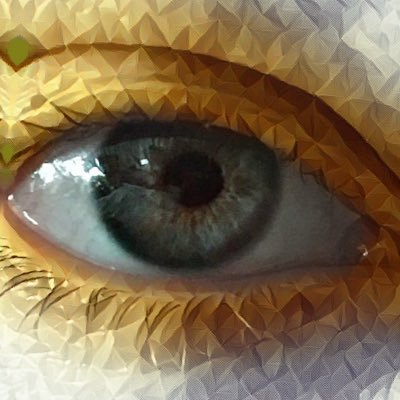 HelgaChantre's profile picture. Schneekönig. Germanist. Kulturwissenschaftler. Naseweis. Schlaukopf. Kindskopf. Witzbold.