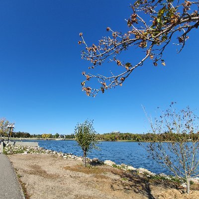 abedii10's profile picture. 