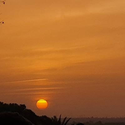 AColDev89's profile picture. 