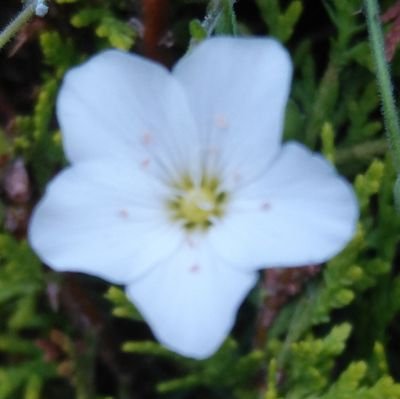 cino5no's profile picture. 栃木県出身。ネガティブな日常。