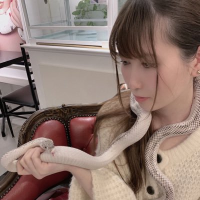 14rincoco's profile picture. ここたんベース❤️アトリエZがすき❤️