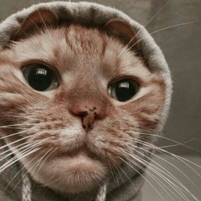 Jao1zinho's profile picture. 