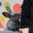 maymay🐰miroのアイコン