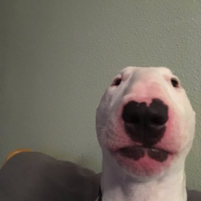 Jaredfrmda617's profile picture. painhub💔