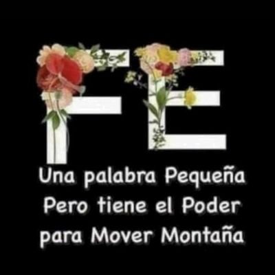 73af5bf404854fe's profile picture. 