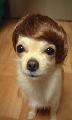 heeyeony's profile picture. Working Mom JiHoo Fiction Mystery Driving Walking Traveling Dreaming Photo #육아당_ #서당_