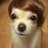 heeyeony's profile image