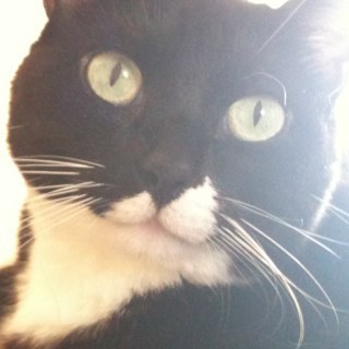 hollygrafx's profile picture. 