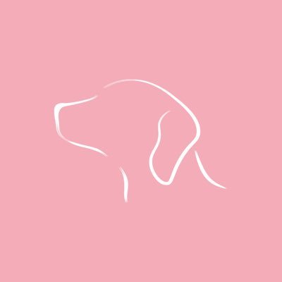 ▪️Dog & Lifestyle Subscription Box ▪️Dogs and Beauty combined