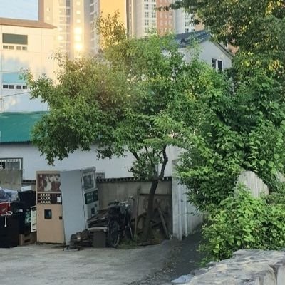 bjBcpseX8ZNNYcM's profile picture. M. Weber