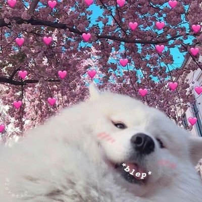 lowistr's profile picture. Don't talk to me. I'm introverting today until tomorrow.
