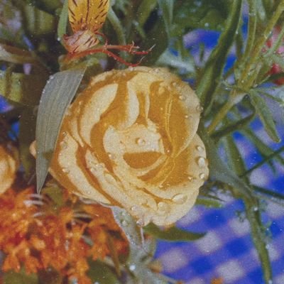 Blossom_Nu_est's profile picture. ˜*''**°•. #뉴이스트 #NUEST 𝘊𝘢𝘱, 𝘑𝘱𝘨, 𝘞𝘢𝘭𝘭𝘱𝘢𝘱𝘦𝘳 .•°**”*˜