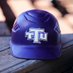 Tennessee Tech ⚾️⚾️ (@TNTech_Baseball) Twitter profile photo