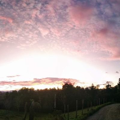 jlgarzon72's profile picture. 