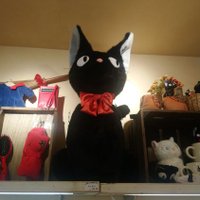 good guy (@dr_fall) 's Twitter Profile