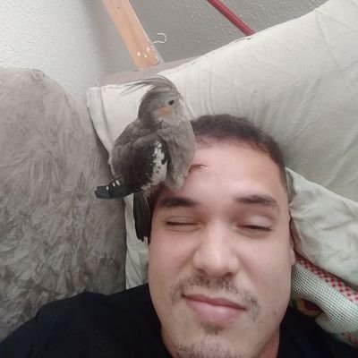 Welling26847886's profile picture. Gosto de boas histórias e contos fantásticos....
não há muito pra saber.