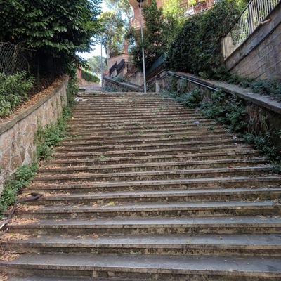 LetUsThinkMore's profile picture. "There is no expedient to which a man will not go to avoid the labor of thinking."
"The harder I work, the luckier I get."