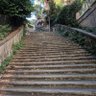 LetUsThinkMore's profile picture. "There is no expedient to which a man will not go to avoid the labor of thinking."
"The harder I work, the luckier I get."