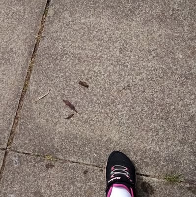 Alyssa00491702's profile picture. Love macaroni