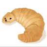 AlexFlex_lc's profile picture. 28/08/2002