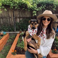 Carolinepenny (@carolinepennyc) 's Twitter Profile