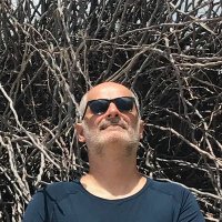 Pedro Cavalcanti Ferreira (@pcgferreira) 's Twitter Profile