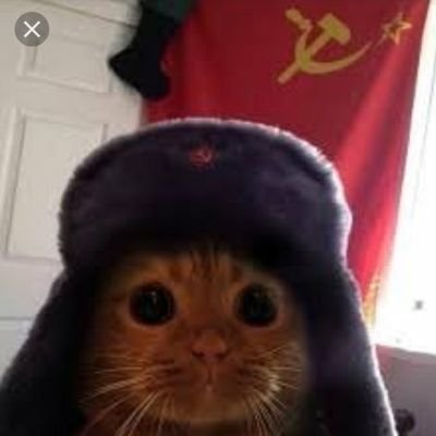 URSS-CAT