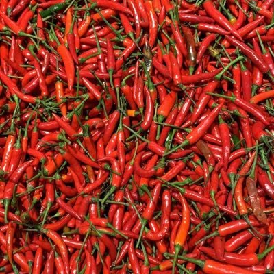 jamespeng001's profile picture. 上海人在纽约。抱歉，私信不回。