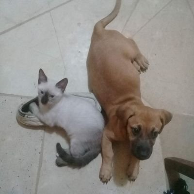 mathewlosky's profile picture. ...........