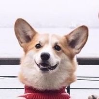 seaya ツさんのプロフィール画像