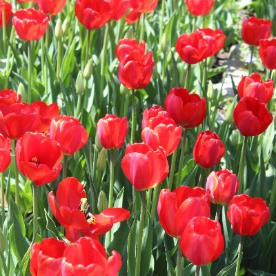 TryTwoTimes's profile picture. Have Fun.. :)