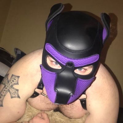 Happily Married to @jaistraypup chubby bottom pup. Always up for a good time. Let me see what you got!!