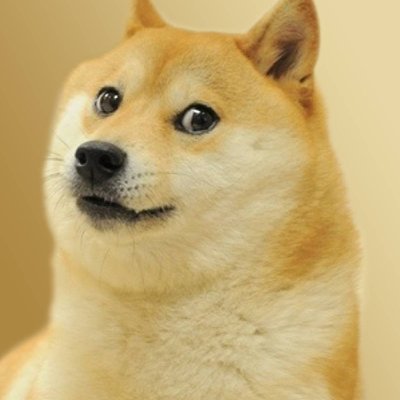 rozkurwi's profile picture. twój
 stary