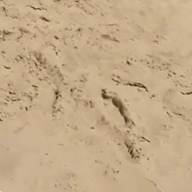 _ttamsin's profile picture. 