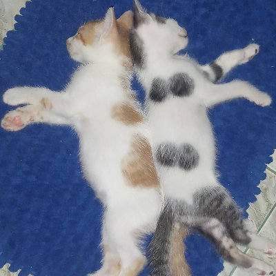 Wongtan19051792's profile picture. Bercinta dan bercinta
Yg penting HAPPY