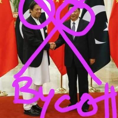 BycottOyo's profile picture. Boycott all Chinese products and fuck all Pakistanis..