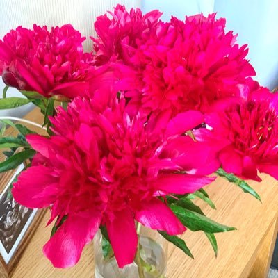 leanbeans15's profile picture. Starting @thebodycoach #90daysssplan in jan 2015!! time to get lean!!! #teamlean #leanin15