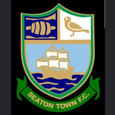 Official Twitter account for Seaton Town Football Club.

Macron Devon & Exeter Football League
1st Team - Premier 
2nd Team - Division 6.
Ladies & Youth setups