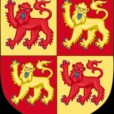 Supporting Welsh Independence, dysgwr Cymraeg, rugby fan