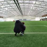 Mike Antrobus (@mikeantrobus) 's Twitter Profile
